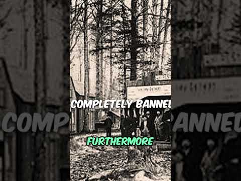 Life as a Black Cowboy #history