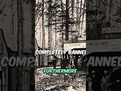 Life as a Black Cowboy #history