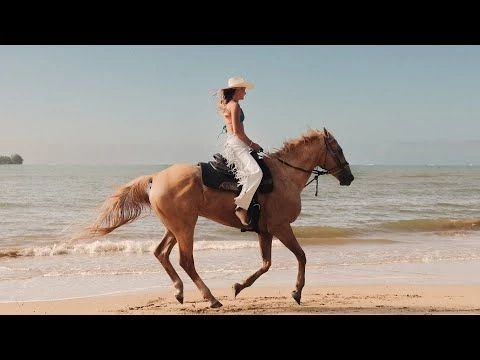 Payton Sullivan - Coastal Cowgirls (Official Video)