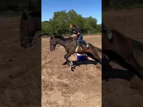 Here is the raw for those that asked! #swagger #horse #horseracing #rodeo