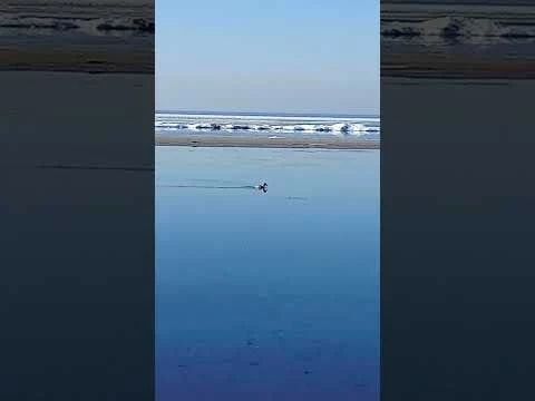 МАРИУПОЛЬ МОРЕ ЛЁД ВЫДАВИЛО НА МЕЛЬ 07.03.2025