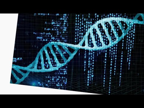 Computer Code in your DNA