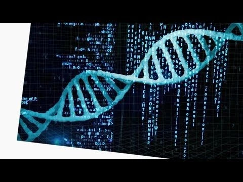 Computer Code in your DNA