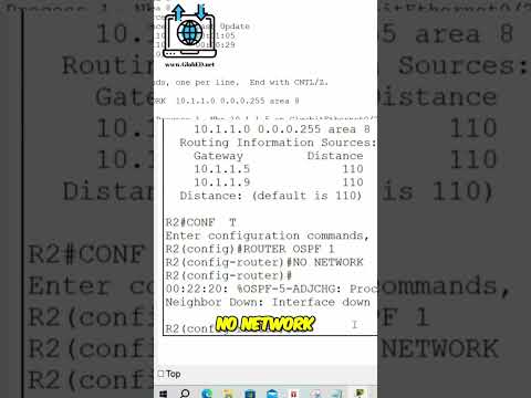 Master Network Troubleshooting: Verify  Fix OSPF Issues