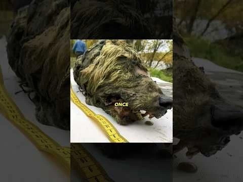 History in Focus: Powerful Images That Speak Volumes