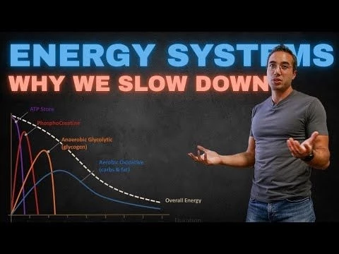 Why Do We Slow Down?