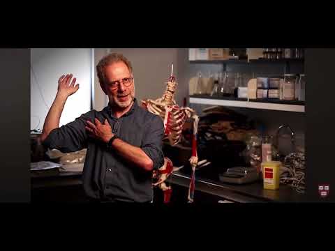 Essentials of sport science and the Art of Sensibility