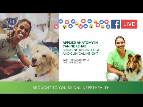 Applied Anatomy in Canine Rehab: Bridging Knowledge and Clinical Insight, Priya Streram