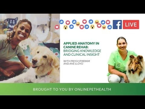 Applied Anatomy in Canine Rehab: Bridging Knowledge and Clinical Insight, Priya Streram