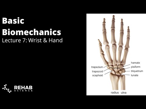 Biomechanics Lecture 7: Wrist  Hand