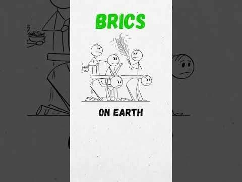 BRICS in 20 Seconds