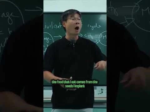 Why Big Cities Destroy Human Reality | Prof. Jiang Xueqin