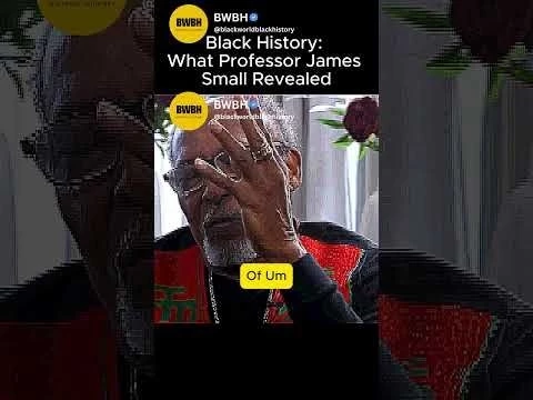 Black History: What Professor James Small Revealed#39;#39;  #blackhistory #america #shorts #blackamerica