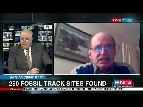 South Africa#39;s ancient past | 250 fossil track sites found