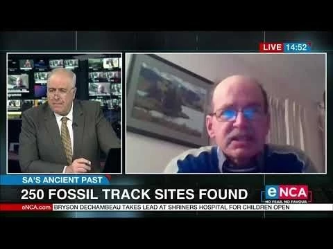 South Africa#39;s ancient past | 250 fossil track sites found