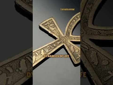 We Have More Than 5 Senses. Joshua Maponga