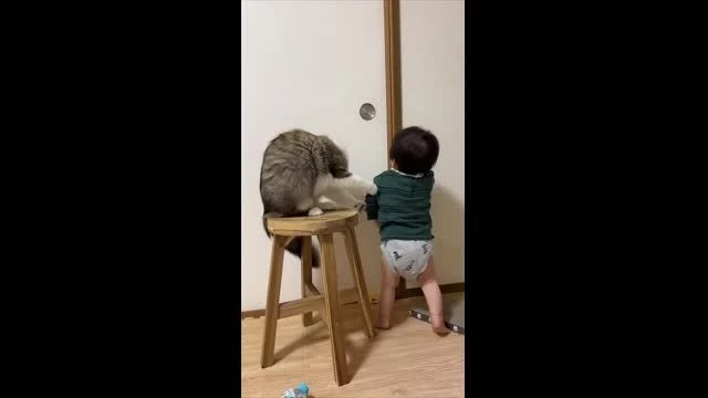 Cat Blocks Little Boy's Door Opening Attempts