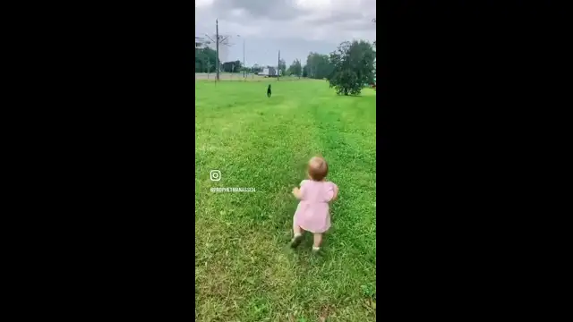 It’s so touching how dogs feel, touch, and communicate…. Where are my DOG lovers at…