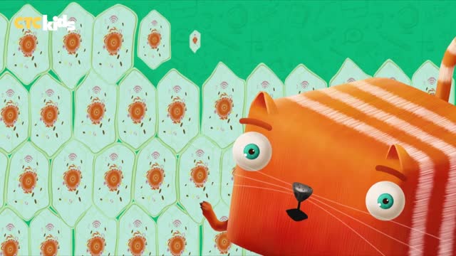 Развлечёба Правильное питание Про питательные веществ�