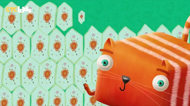 Развлечёба Правильное питание Про питательные веществ�