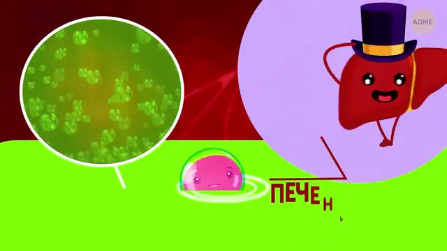 Путешествие по вашему тел�