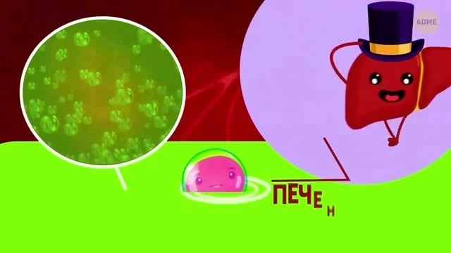 Путешествие по вашему тел�