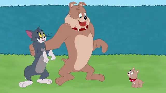 Tom And Jerry   Best Moments From Tyke   Boomeran