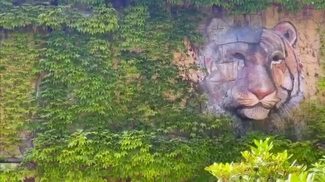 Tecknat Barn Svenska:Kolmården Djurpark AB (1965-2025) DVDRIPPEN (Svenska) Trailer (3D)