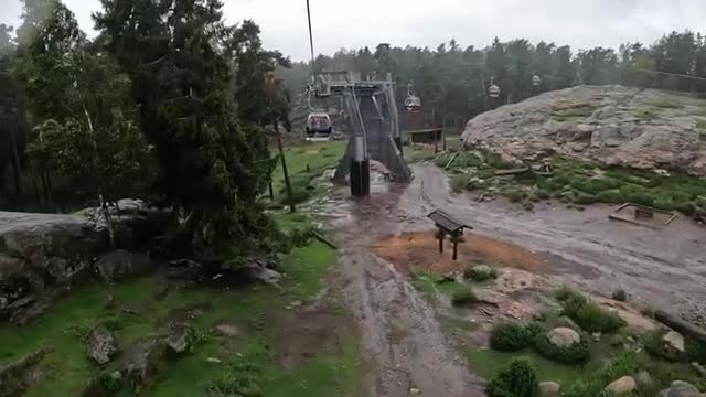 Tecknat Barn Svenska:Kolmården Djurpark AB (1965-2024) DVDRIPPEN (Svenska) Trailer (4D)