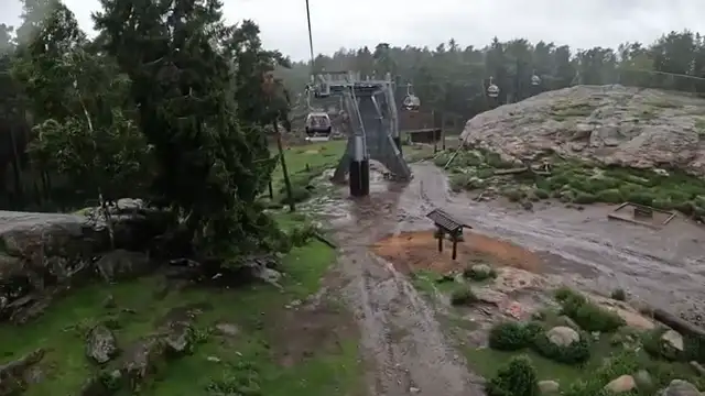 Tecknat Barn Svenska:Kolmården Djurpark AB (1965-2024) DVDRIPPEN (Svenska) Trailer (4D)